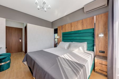 Студия 2-местный с кухней