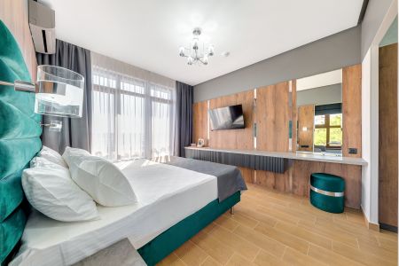 Студия 2-местный с кухней