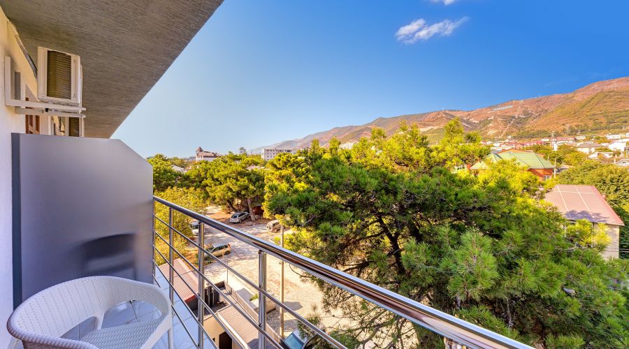 Комфорт 2-местный с балконом вид на горы