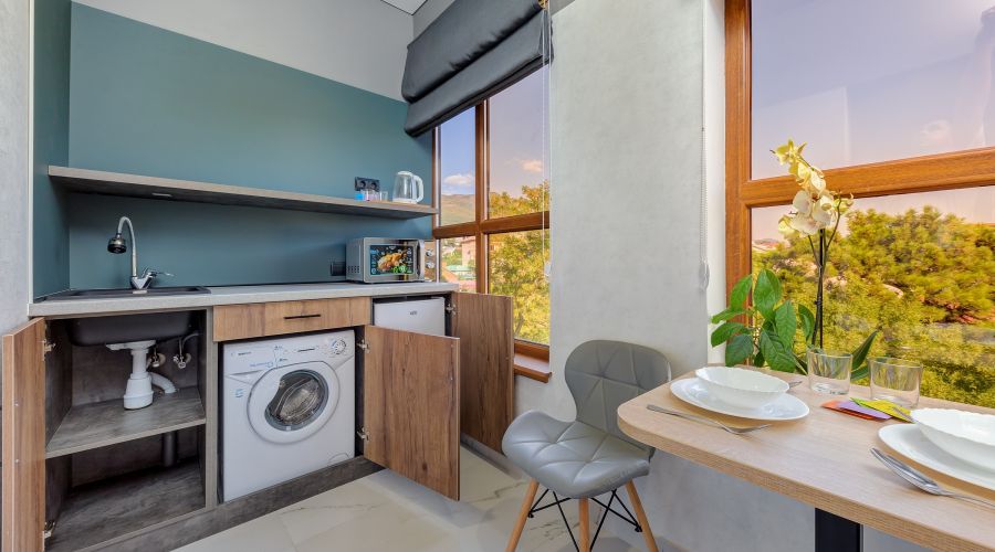 Студия 2-местный с кухней